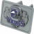 Minnesota Vikings Football Helmets