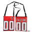 Atlanta Falcons Tote Bag