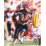 Josh Reed Buffalo Bills Autographed 16x20 Photo