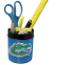 Florida Gators Mini Football Helmet Desk Caddy