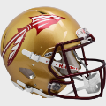 Helmets, Full Size Helmet: Florida State Seminoles Speed Football Helmet <B>Metallic Paint</B>