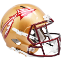 Helmets, Full Size Helmet: Florida State Seminoles Speed Replica Football Helmet <B>Metallic Paint</B>